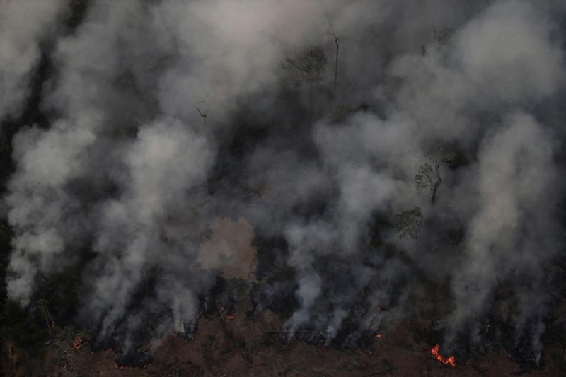亞馬遜雨林大火
